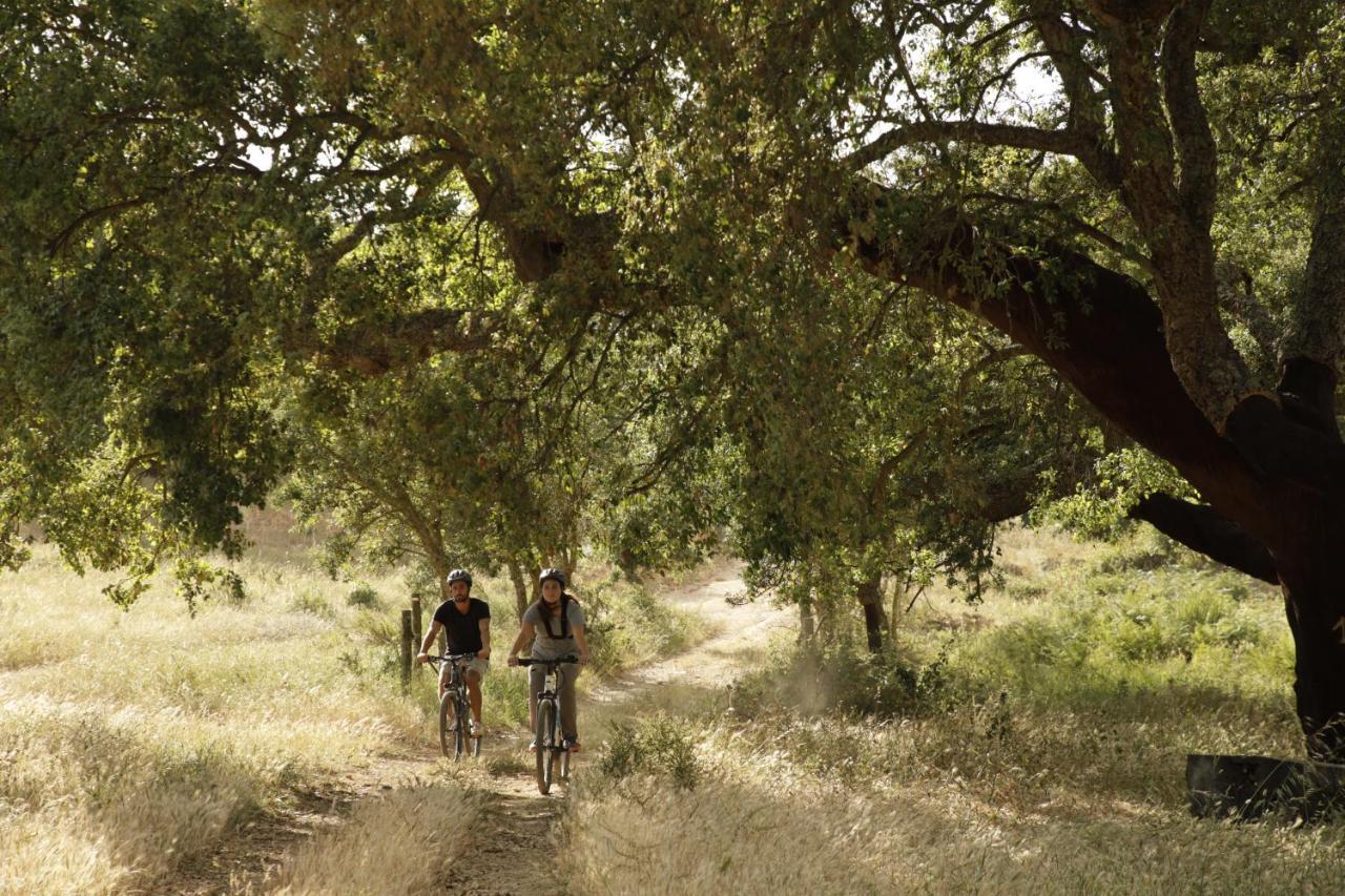 Herdade Da Matinha Country House & Restaurant Cercal do Alentejo Εξωτερικό φωτογραφία